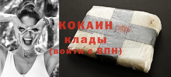 амф Ладушкин