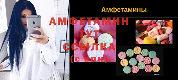 амф Ладушкин