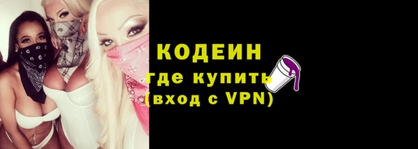 амф Ладушкин