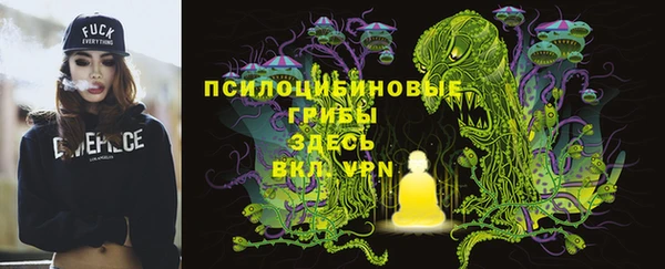 стафф Лагань