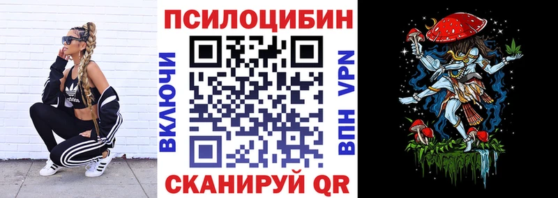 Псилоцибиновые грибы Cubensis Купить где Истра